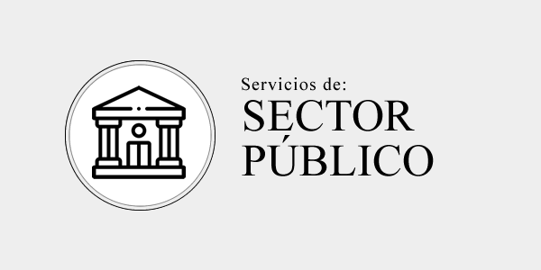 sector publico